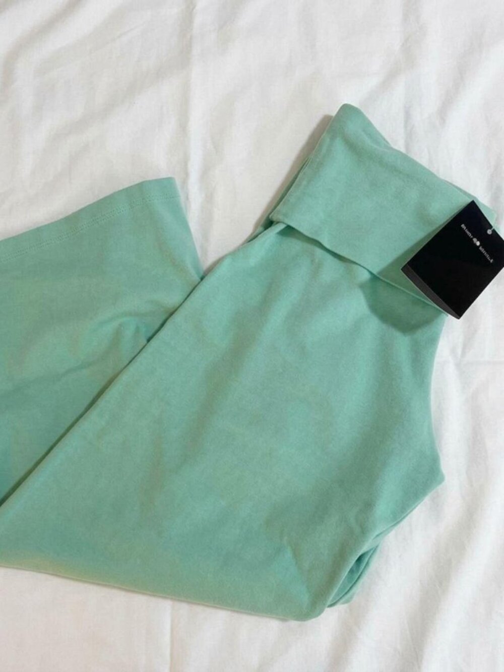 BNWT Viral Brandy Melville Teal Capris Priscilla Pants